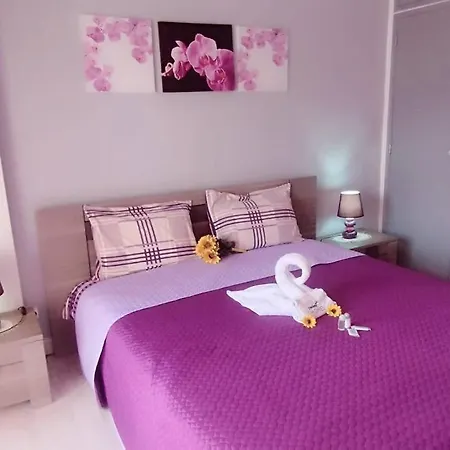 Sweet Casa Dos Arcos 409 *